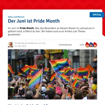 Screenshot Artikel