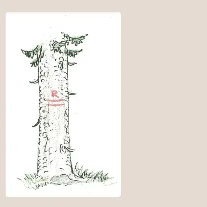 illustration Baum