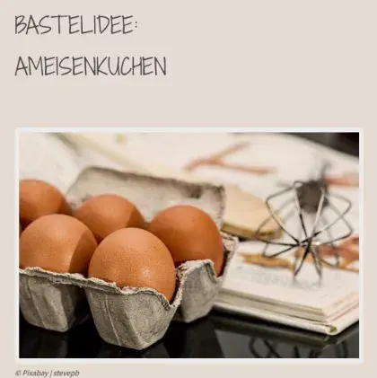 Eier und Kochbuch