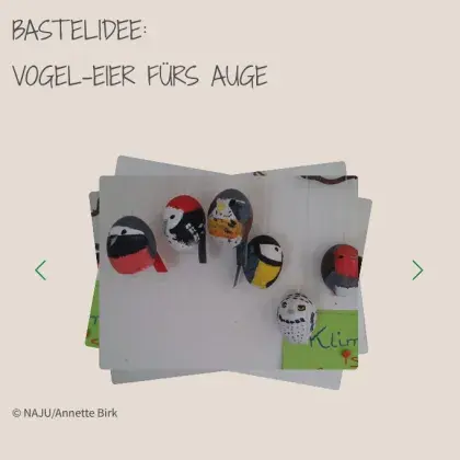 Bastelanleitung