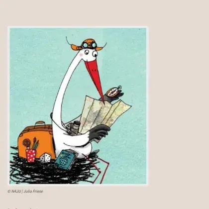 Illustration Storch