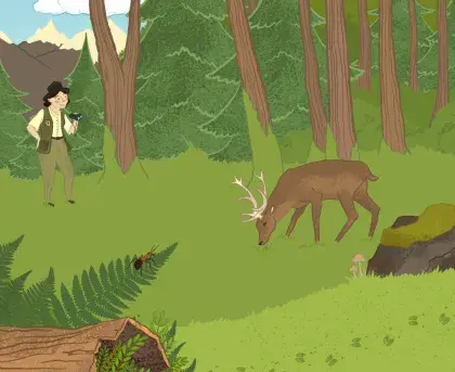 Habitat Wald