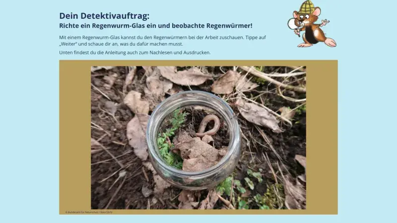 Detektivauftrag
