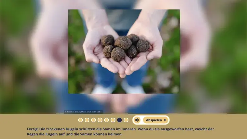 Samenkugeln