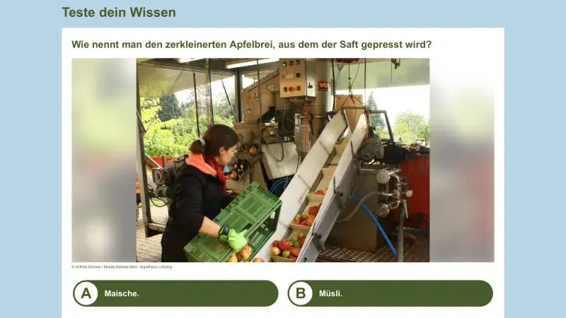 Quiz Saft