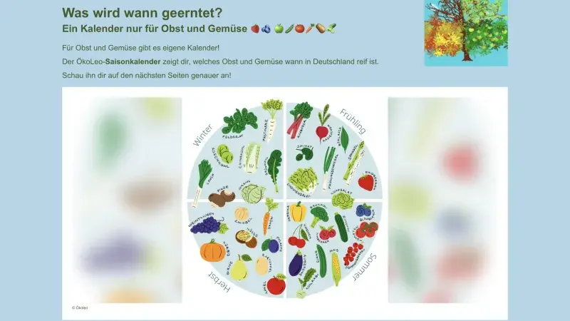 Saisonkalender